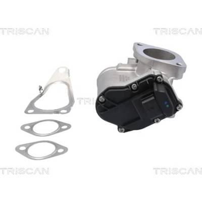 AGR - Ventil TRISCAN 8813 25201