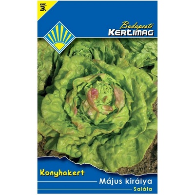 Kertimag Osivo Šalát jarný 2 g