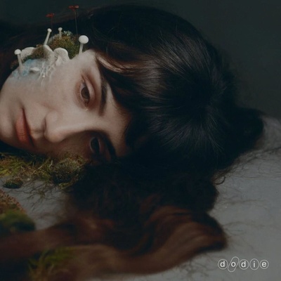 Dodie - Not For Lack Of Trying (LP) (0602478462115)