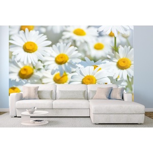 DIMEX ART Самозалепваща се флизелинова фототапета поле с маргаритки 375 x 250 см