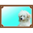 Ostatní pomůcky pro psy Dafiko Tabulka čínský chocholatý pes