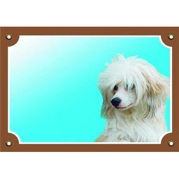 Dafiko Tabulka čínský chocholatý pes