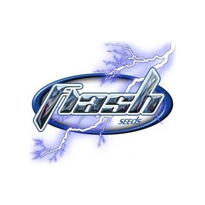 Flash Seeds MI6 AUTO semena neobsahují THC 3 ks