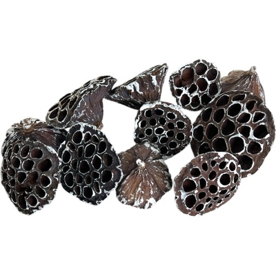 Sušené Lotosové kvety 6–8 cm 11ks - zabielené