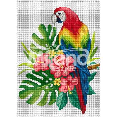 Milena Style Папагал - гоблен със схема конци dmc 1: 1