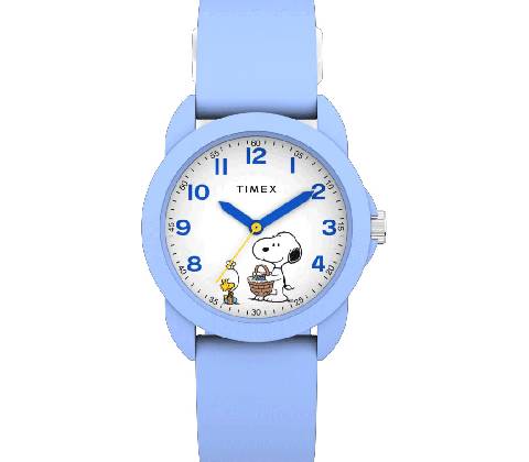 Timex TW2Y51100
