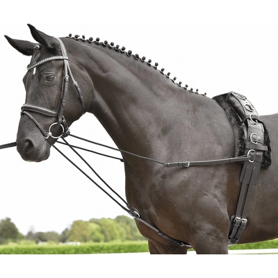 BUSSE Otěže trojúhelníkové černé – Zboží Dáma