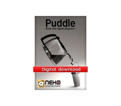Puddle