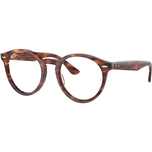 Ray-Ban Larry RX7680V 2144