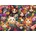 Cobble Hill - Puzzle Blooming Whiskers - 1 000 piese