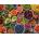 Castorland - Puzzle Tabble full of superfood - 2 000 piese