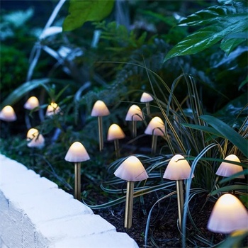 Garden of Eden 11243