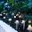 Garden of Eden 11243