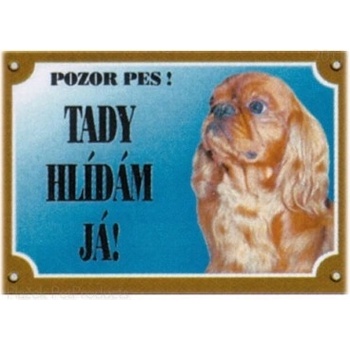 Dafiko Tabulka Kavalier king charles španěl