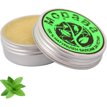 Morava Балсам за устни с Мента и Лайм Морава (mr-105)