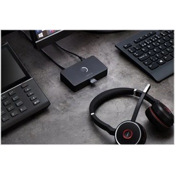 Jabra 2950-79
