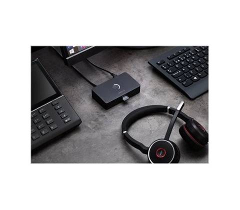 Jabra 2950-79