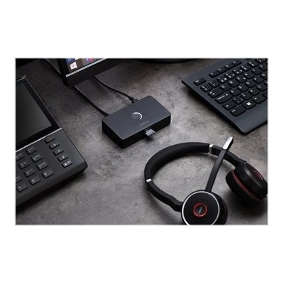 Jabra 2950-79