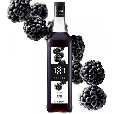 Routin 1883 Ostružina 1 l