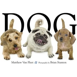 Dog (ISBN: 9781416941378)