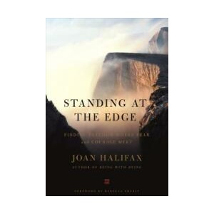 Standing at the Edge (ISBN: 9781250101358)