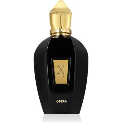 Xerjoff Soprano parfémovaná voda unisex 100 ml tester