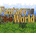 Fantasy World
