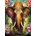 Enjoy - Puzzle Celestial Botanica - 1 000 piese