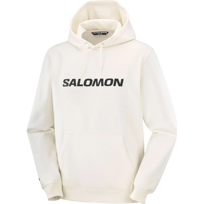 Salomon Logo Hoodie