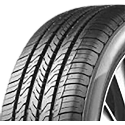 Aptany RP203 195/55 R16 87V