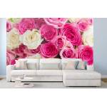 DIMEX ART Самозалепваща се флизелинова фототапета розови и бели рози 375 x 250 см