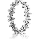 Pandora 190934CZ