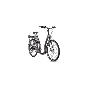 Image 1 of Leader Fox Holand 26