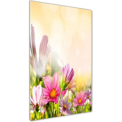 Vertikálny foto obraz sklenený Poľné kvety 50x100 cm
