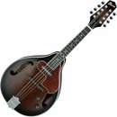 Ibanez M510E-BS