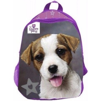 Benjamin Psík fialový