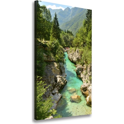 Vertikálny foto obraz canvas Horský potok 50x100 cm
