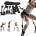 Еlastic bands for training Комплект ластици за тренировкa - Еlastic bands for training