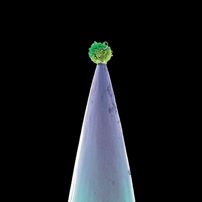 Peter Gabriel New Blood (Limited Edition)