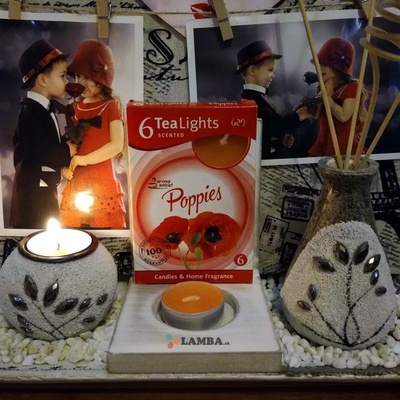Morex Poppies 6ks