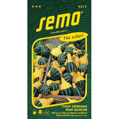 Semo Tykev okrasná - Pear bicolor 0,8g