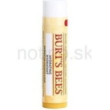 Burt´s Bees Lip Care hydratačný balzam na pery with Coconut & Pear 4,25 g