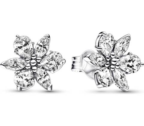 Pandora 292633C01