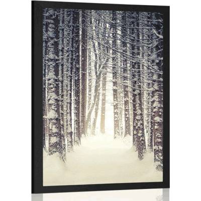 Plakát les zahalený sněhem - 60x90 no frame