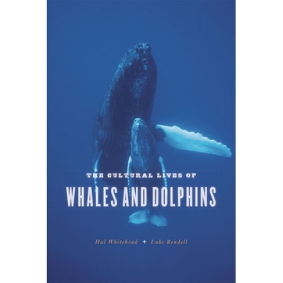 Cultural Lives of Whales and Dolphins