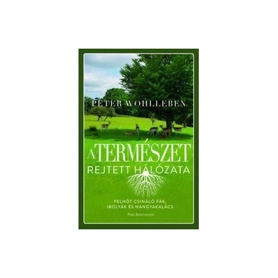 A természet rejtett hálózata
