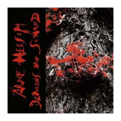 Arne Heesch - Demons Are Scared LP