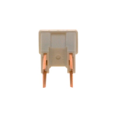 Poistka BOSCH 1 987 529 075