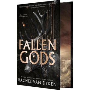 Fallen Gods (ISBN: 9781649374677)