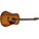Seagull Entourage Rustic